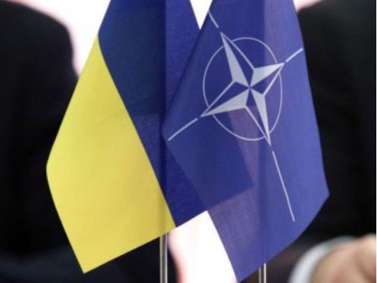 Карбер призвал гарантировать Украине членство в НАТО и принять новую стратегию военной помощи