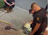 Поліцейські