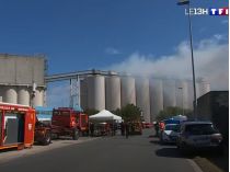 Пожежа на зерновому терміналі Ла-Палліс у порту Ла-Рошель