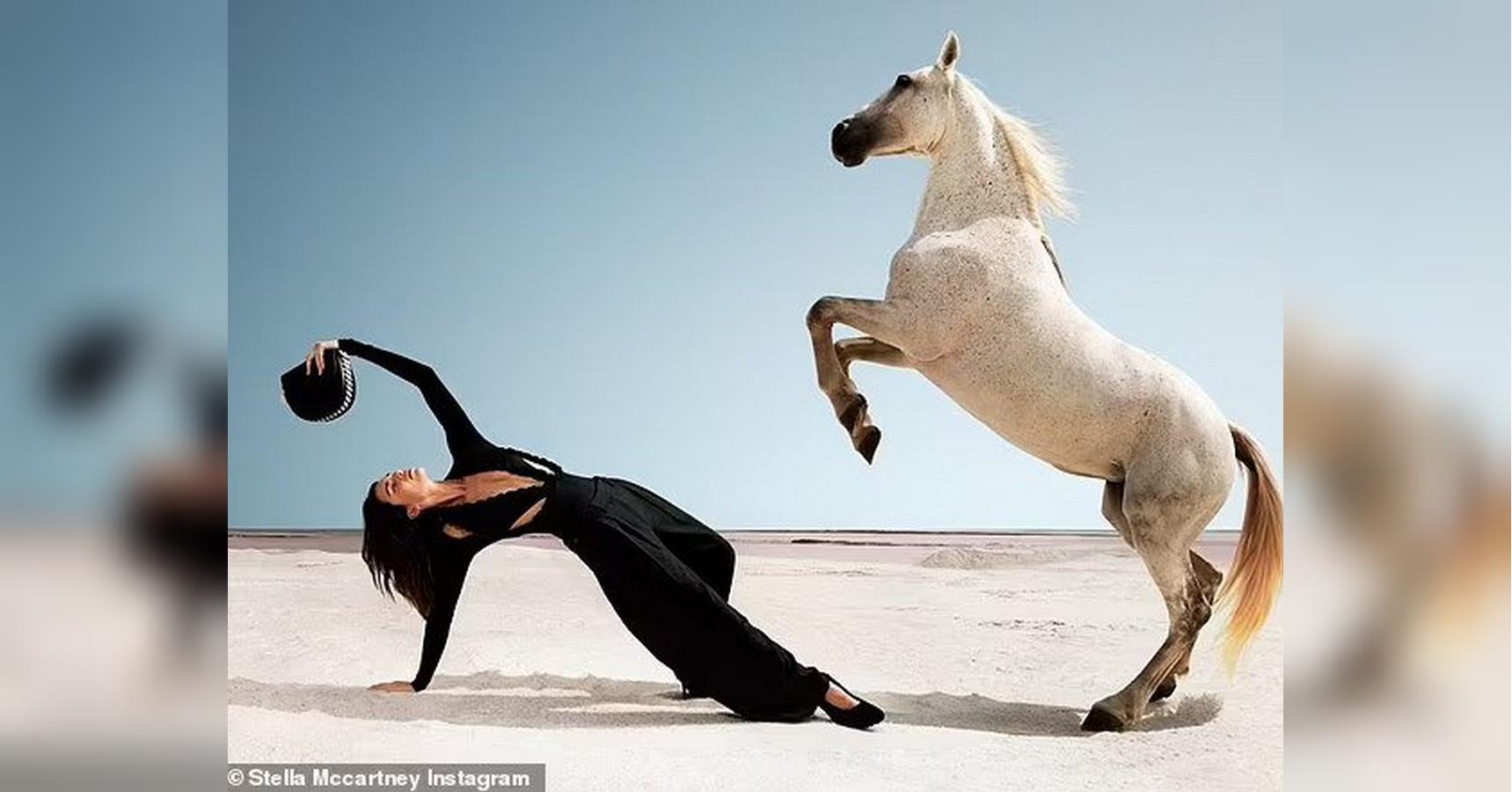 Модель Кендалл Дженнер позировала голой на лошади для новой коллекции  Стеллы Маккартни - фото - «ФАКТЫ»