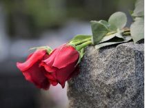 троянди на могилі