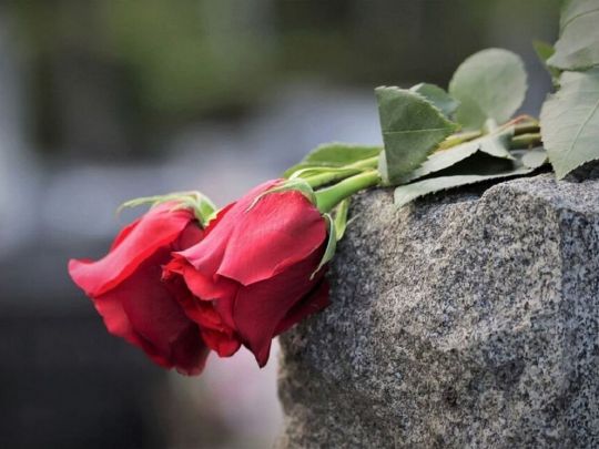 троянди на могилі