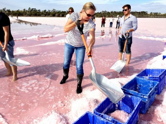 розовая соль в Крыму