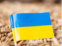 Украинское зерно