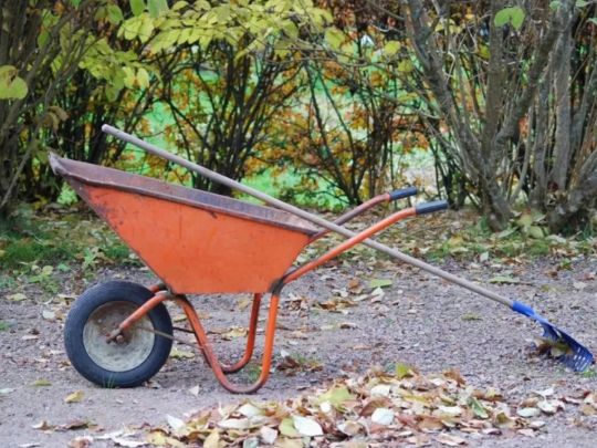 Осінній сад, тачка