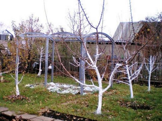 садок у листопаді