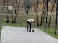 Мужчина бьет собаку