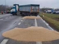 украинское зерно на дороге