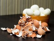 Легко замінить тону перегною: чому варто використовувати на&nbsp;дачі яєчну шкаралупу