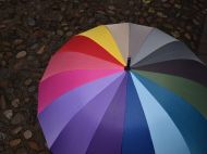 Навіщо кабачкам парасолька: маленькі хитрощі досвідчених городників
