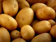 Урожай буде рясним, а&nbsp;картопля&nbsp;&mdash; дуже смачною: городниця з&nbsp;Одеси назвала 10 найкращих днів для посадки бульби (відео)