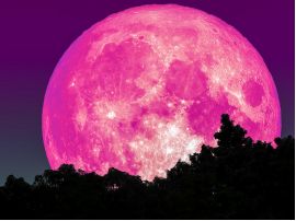 Рожевий Місяць