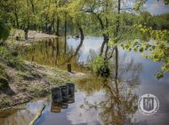 Парки Києва ідуть під воду: чи&nbsp;є&nbsp;небезпека для киян