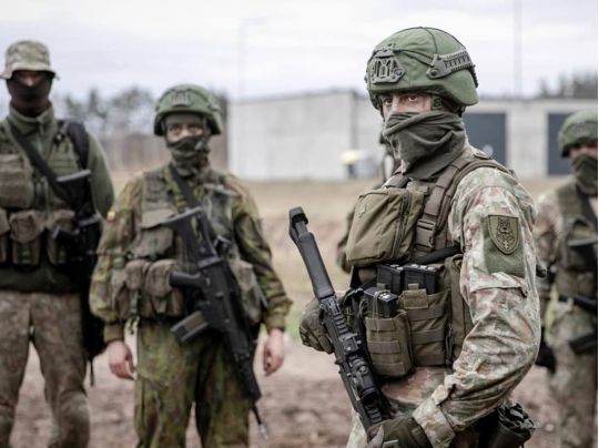 Литва готова отправить свои войска в Украину