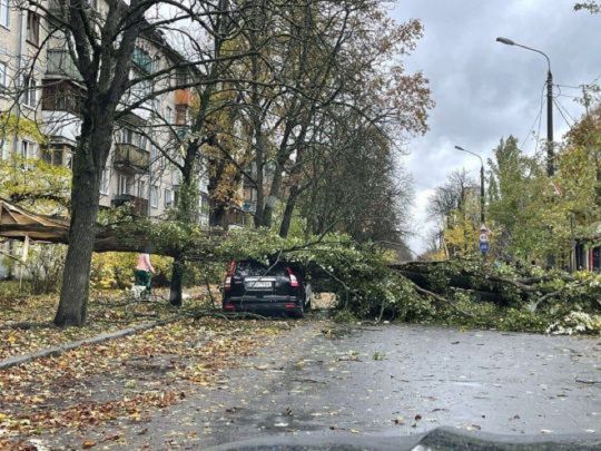 Пориви вітру