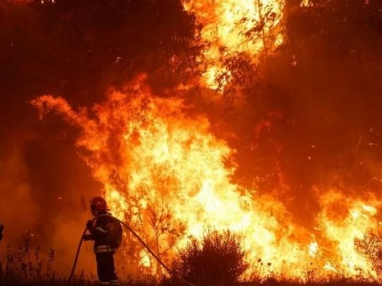 Пожежа у Португалії