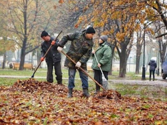 компост із листя