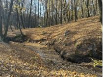 Голосеевский парк