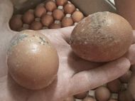 86 млн на&nbsp;пустом месте: ДОТ Жумадилова снова оскандалился на&nbsp;еде для армии