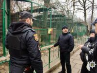 В Одесі леопард напав на людину, фото поліції