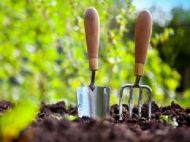 Місячний посівний календар на&nbsp;2025 рік: коли і&nbsp;чим зайнятися городнику на&nbsp;дачі