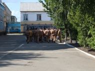 У&nbsp;Раді пропонують спростити мобілізацію засуджених