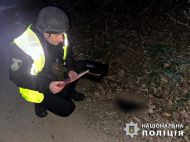 Близько 130 безпілотників атакували Україну в&nbsp;хрещенську ніч: уламки збирали у п'яти областях (фото)
