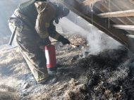 Террористы продолжают обстреливать мирные города: за&nbsp;сутки нанесены сотни ударов по&nbsp;Украине