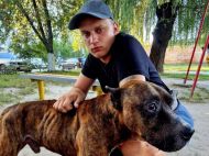 &laquo;Влітку 2024 року безвісти зник мій рідний брат, а&nbsp;восени загинув син&raquo;: історія родини з&nbsp;Житомирщини, якій росія принесла так багато горя