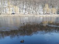 Трохи потеплішає, але не&nbsp;надовго: синоптикиня дала прогноз погоди на&nbsp;наступні дні