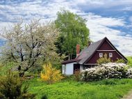 Всього два несприятливі дні: місячний календар городника на&nbsp;квітень-2025
