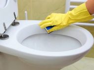Сидіння унітаза без плям: ці&nbsp;поради шокують своєю ефективністю
