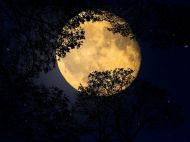 Рожева повня у&nbsp;квітні: як&nbsp;вона вплине на&nbsp;знаки зодіаку