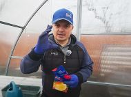 Важный секрет для Киевщины: аграрий Валерий назвал 3 сорта лука, которые дадут отличный урожай