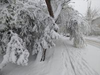Погода 11 квітня у Миколаєві. Фото Суспільне