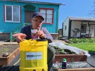 Після холодів почав жовтіти часник: аграрій з&nbsp;Київщини дав пораду, як&nbsp;зробити його знову зеленим