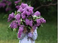 Дівчина з бузком, фото https://depositphotos.com/