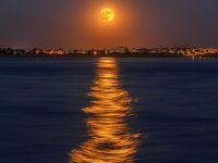12 травня&nbsp;— Квіткова повня у знаку Скорпіона. Фото Pixabay