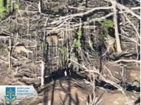 Позиції на Покровському напрямку, фото Донецька облпрокуратура