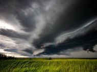 Весна розпрощається з&nbsp;Україною грозами та&nbsp;шквалами, а&nbsp;літо обіцяє бути спекотним, але без температурних рекодів