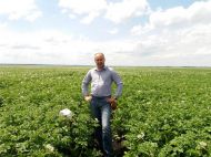Чому ціни на&nbsp;молоду українську картоплю вдвічі вищі, аніж на&nbsp;завезену з&nbsp;Єгипту: роз&rsquo;яснення фахівця