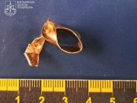 Вкрадена санітаром морга обручка