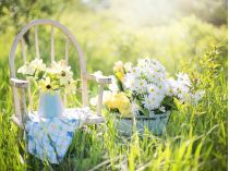 Прогноз погоды на 16-22 июня. Фото Pixabay