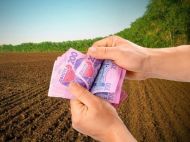 От&nbsp;выплат освобождены: кто может не&nbsp;платить земельный налог в&nbsp;2025 году