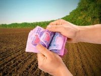 Хто може не сплачувати податок на землю у 2025 році