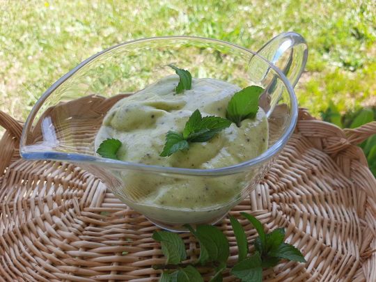 Сорбет из бананов и киви. Фото Эллы Ивановой