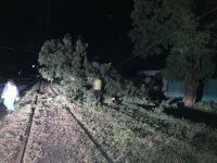 Буревій у Харкові повалив більше сотні дерев. Фото міськради Харкова