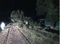 Буревій у Харкові повалив більше сотні дерев. Фото міськради Харкова
