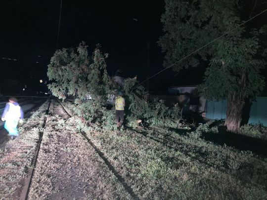 Буревій у Харкові повалив більше сотні дерев. Фото міськради Харкова