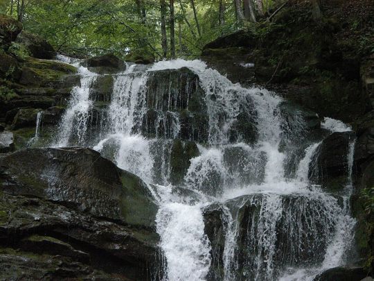 У воді Шипота виявилася кишкова інфекція. Фото з Вікіпедії